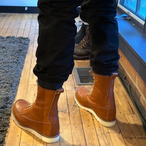 Red Wing 8-Inch Classic Moc in S.B. Foot Oro Legacy