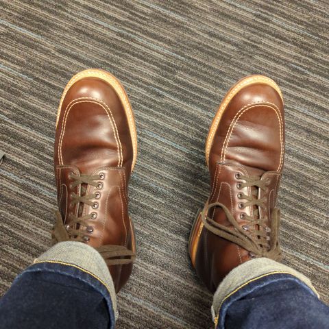 Alden Indy Boot in Horween Brown Chromexcel