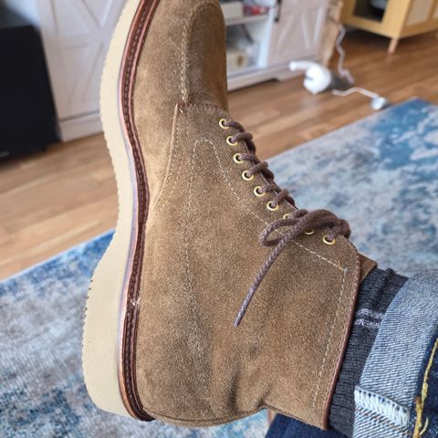 Alden Indy Boot in Snuff Suede