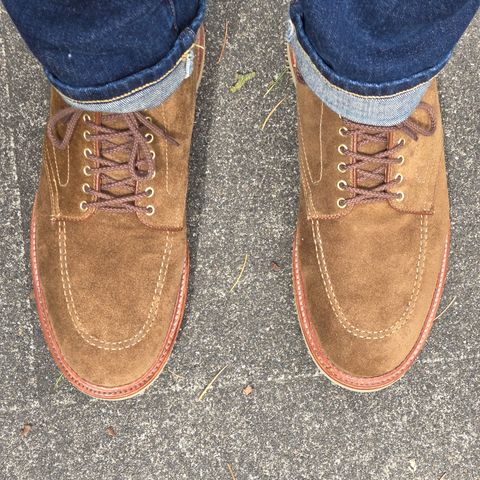 Alden Indy Boot in Snuff Suede