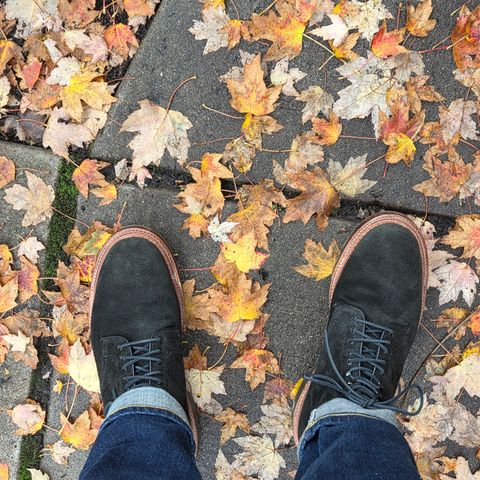 Alden Plain Toe Boot in Horween Earth Reverse Chamois