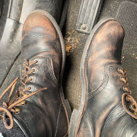 Search result thumbnail of Red Wing Blacksmith in S.B. Foot Black Prairie