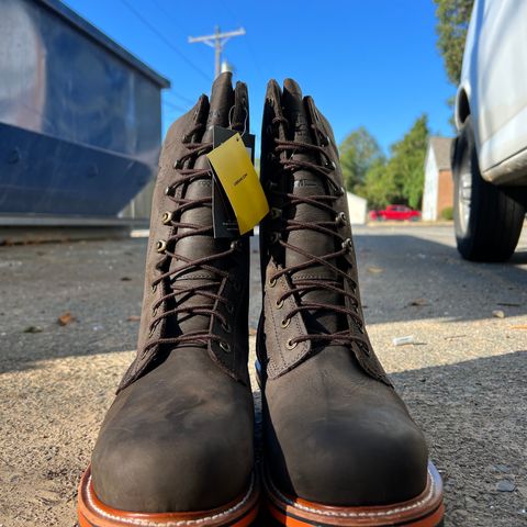 Chippewa Thunderstruck 10" Logger in Brunette Waterproof Full Grain