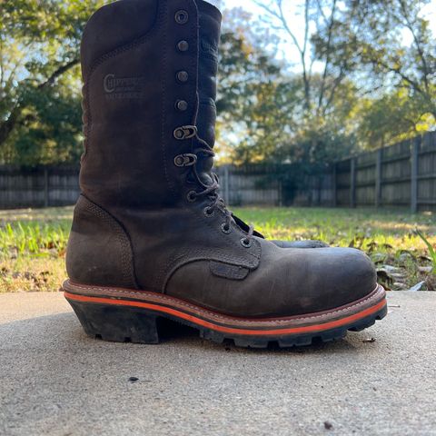 Chippewa Thunderstruck 10" Logger in Brunette Waterproof Full Grain