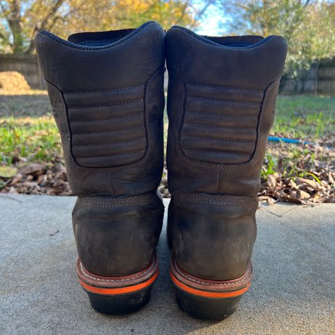 Chippewa Thunderstruck 10" Logger in Brunette Waterproof Full Grain