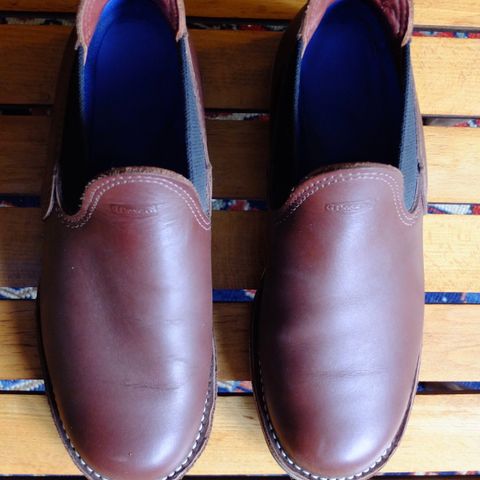 Wesco Romeo in Seidel Brown Oil Tan