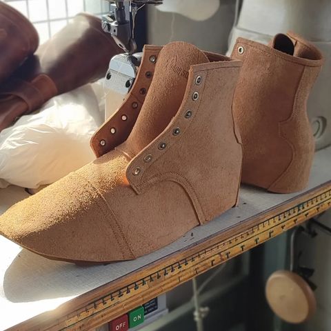Mor Son De Brazza in Indonesian CH Dark Havana - Roughout