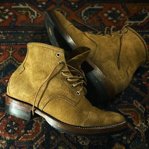 Mor Son De Brazza in Indonesian CH Dark Havana - Roughout