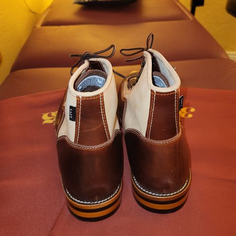TAFT Model 007 in Cherry Oil Tan