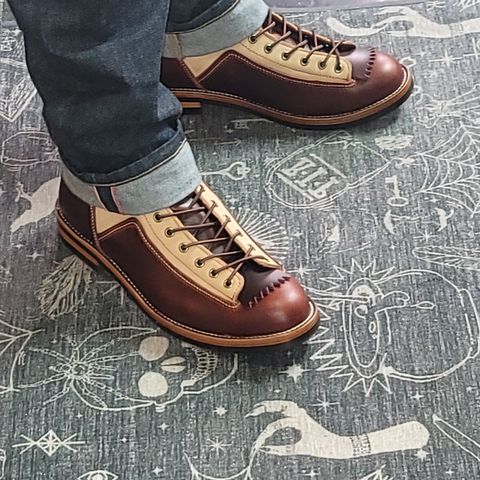 TAFT Model 007 in Cherry Oil Tan