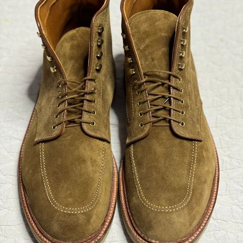 Alden Indy Boot in Snuff Suede