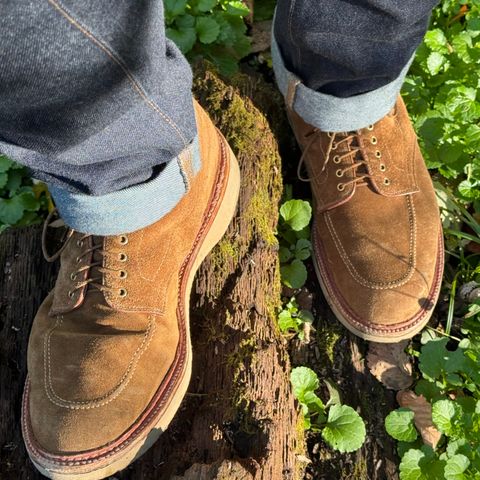 Alden Indy Boot in Snuff Suede