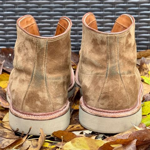 Alden Indy Boot in Snuff Suede