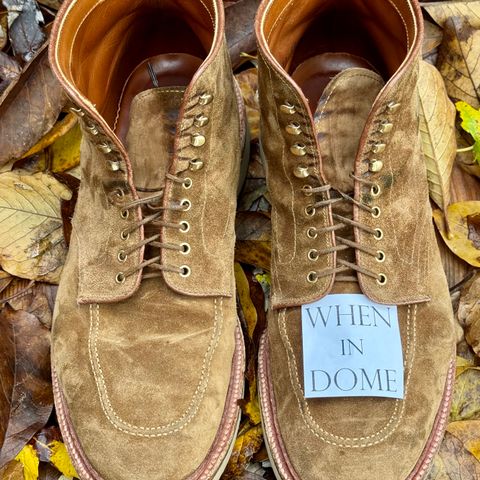 Alden Indy Boot in Snuff Suede