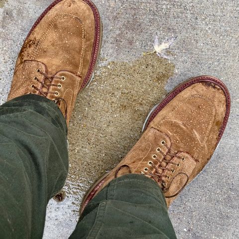 Alden Indy Boot in Snuff Suede