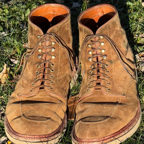Alden Indy Boot in Snuff Suede