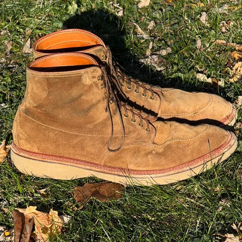 Alden Indy Boot in Snuff Suede