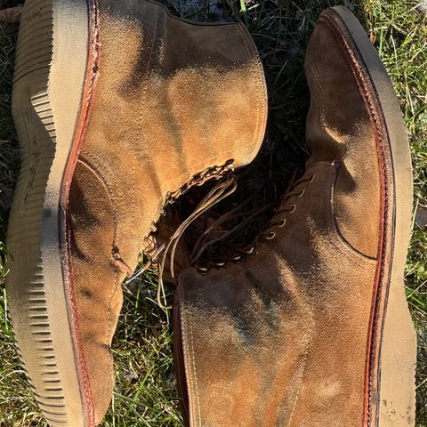 Alden Indy Boot in Snuff Suede
