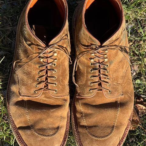 Alden Indy Boot in Snuff Suede