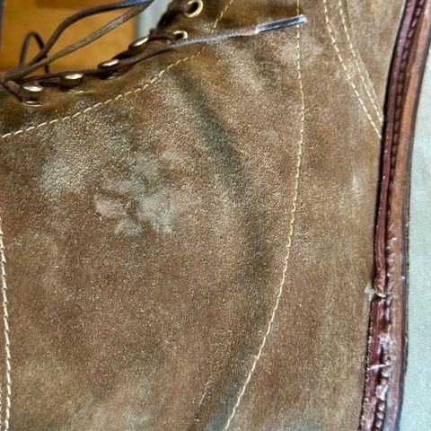 Alden Indy Boot in Snuff Suede