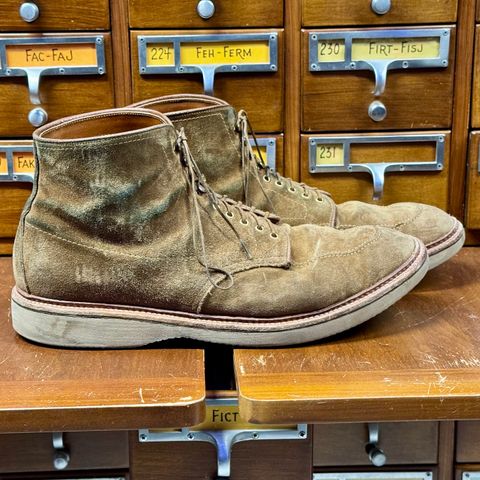 Alden Indy Boot in Snuff Suede