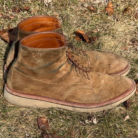 Alden Indy Boot in Snuff Suede