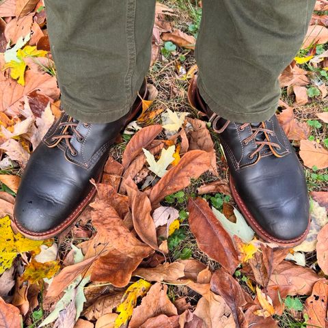 Red Wing Beckman Flatbox in S.B. Foot Black Klondike