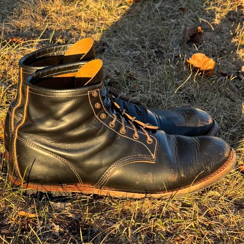 Red Wing Beckman Flatbox in S.B. Foot Black Klondike