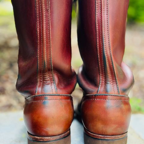 Nicks StationMaster in Seidel Brown Double Shot