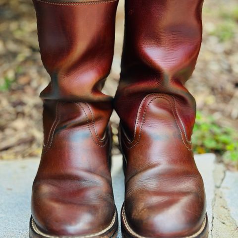 Nicks StationMaster in Seidel Brown Double Shot