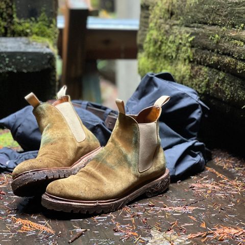 Viberg Chelsea in Conceria Opera Calfskin Suede