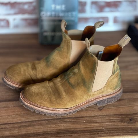 Viberg Chelsea in Conceria Opera Calfskin Suede