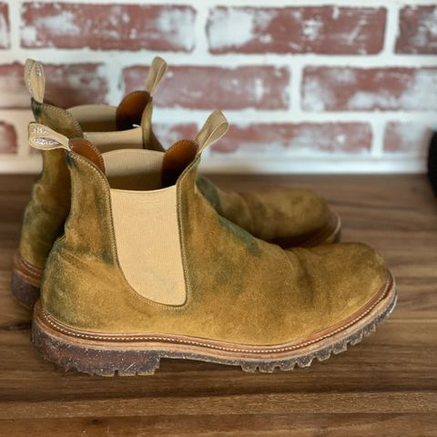 Viberg Chelsea in Conceria Opera Calfskin Suede