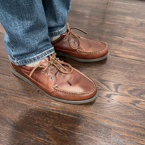 Quoddy Blucher in Horween Brown Chromexcel