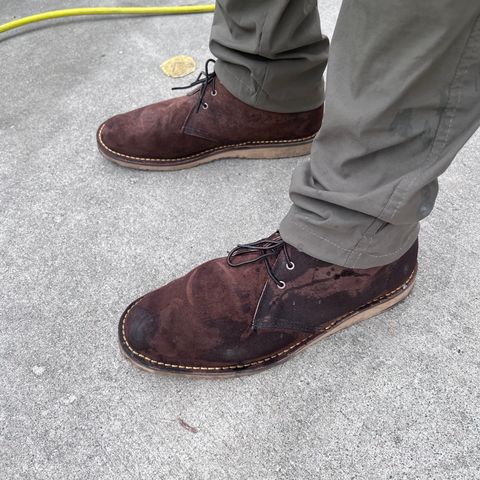 Red Wing Weekender Chukka in chocolate muleskinner
