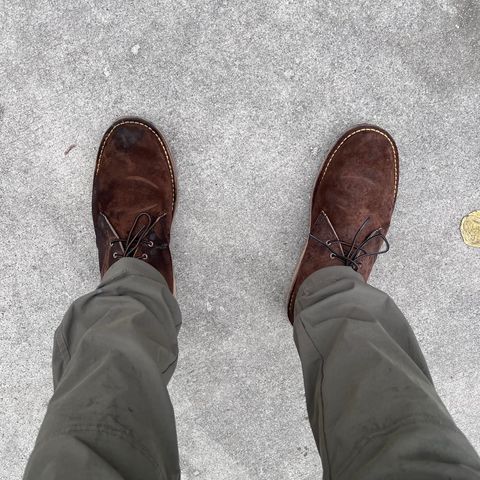 Red Wing Weekender Chukka in chocolate muleskinner