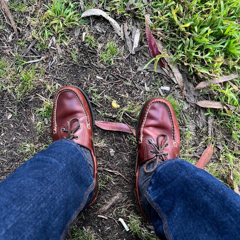 L.L.Bean Casco Bay Boat Shoe in Canyon Brown Leathwr