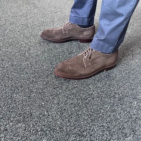 Grant Stone Longwing in C.F. Stead Espresso Repello Calf Suede