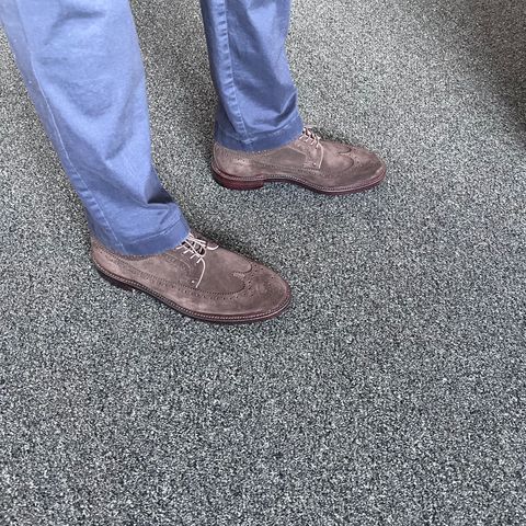 Grant Stone Longwing in C.F. Stead Espresso Repello Calf Suede