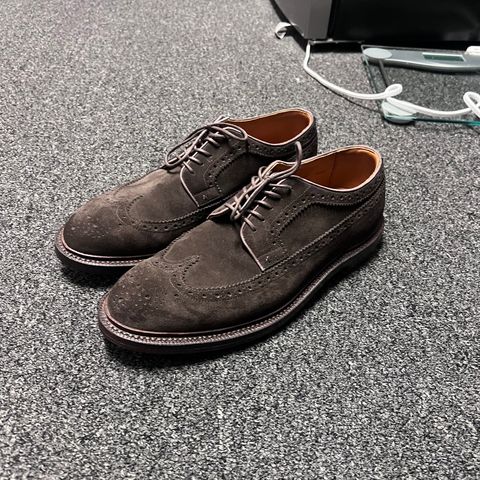 Grant Stone Longwing in C.F. Stead Espresso Repello Calf Suede