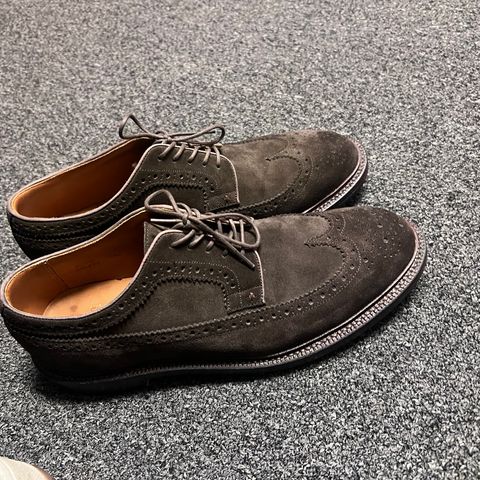 Grant Stone Longwing in C.F. Stead Espresso Repello Calf Suede