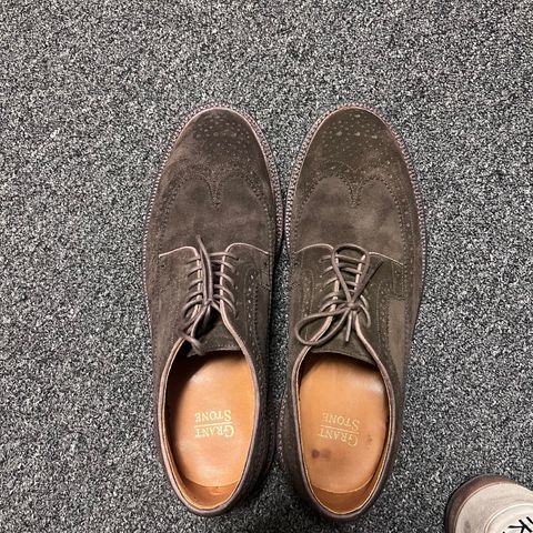 Grant Stone Longwing in C.F. Stead Espresso Repello Calf Suede