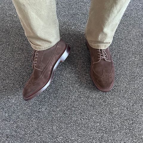 Grant Stone Longwing in C.F. Stead Espresso Repello Calf Suede