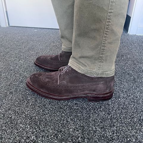 Grant Stone Longwing in C.F. Stead Espresso Repello Calf Suede