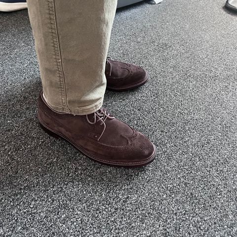 Grant Stone Longwing in C.F. Stead Espresso Repello Calf Suede