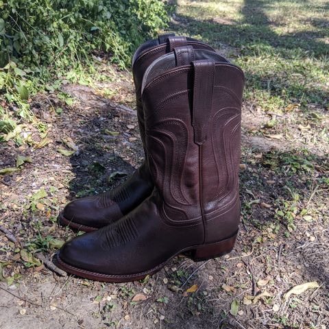 Tecovas The Cartwright in Stout Bovine