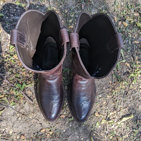 Tecovas The Cartwright in Stout Bovine