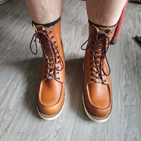 Search result thumbnail of Red Wing 10877 in S.B. Foot Oro-Iginal