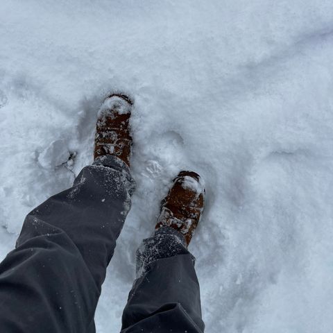 Red Wing Iron Ranger in S.B. Foot Hawthorne Muleskinner