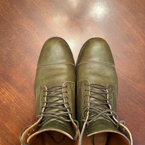 Viberg Service Boot PCT in Shinki Olive Latigo Horsehide